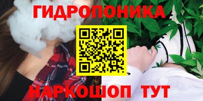 скорость Можга