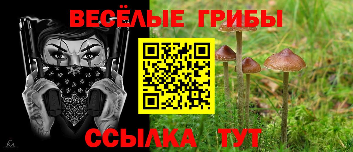 Псилоцибиновые грибы ЛСД Фрязино