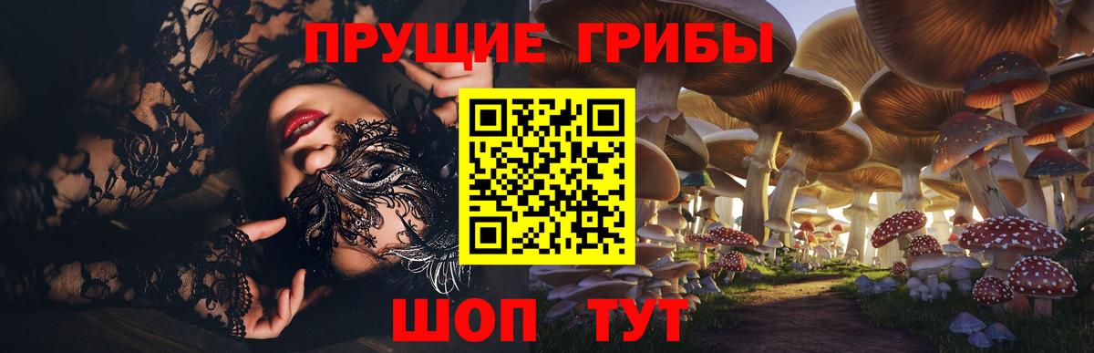 закладка  Псилоцибиновые грибы мицелий  Вход с VPN  Фрязино  Псилоцибиновые грибы GOLDEN TEACHER 